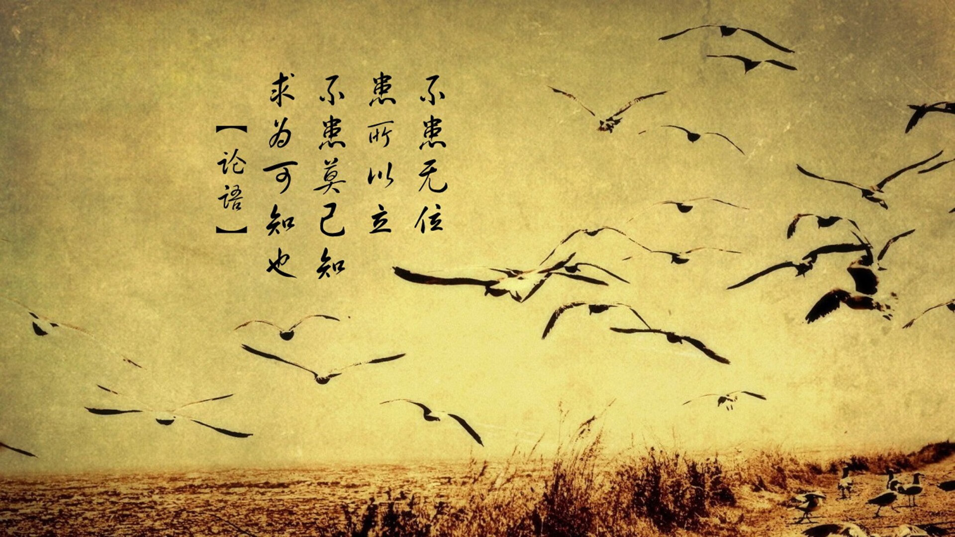 青训体系改革路径日益清晰,青训模式